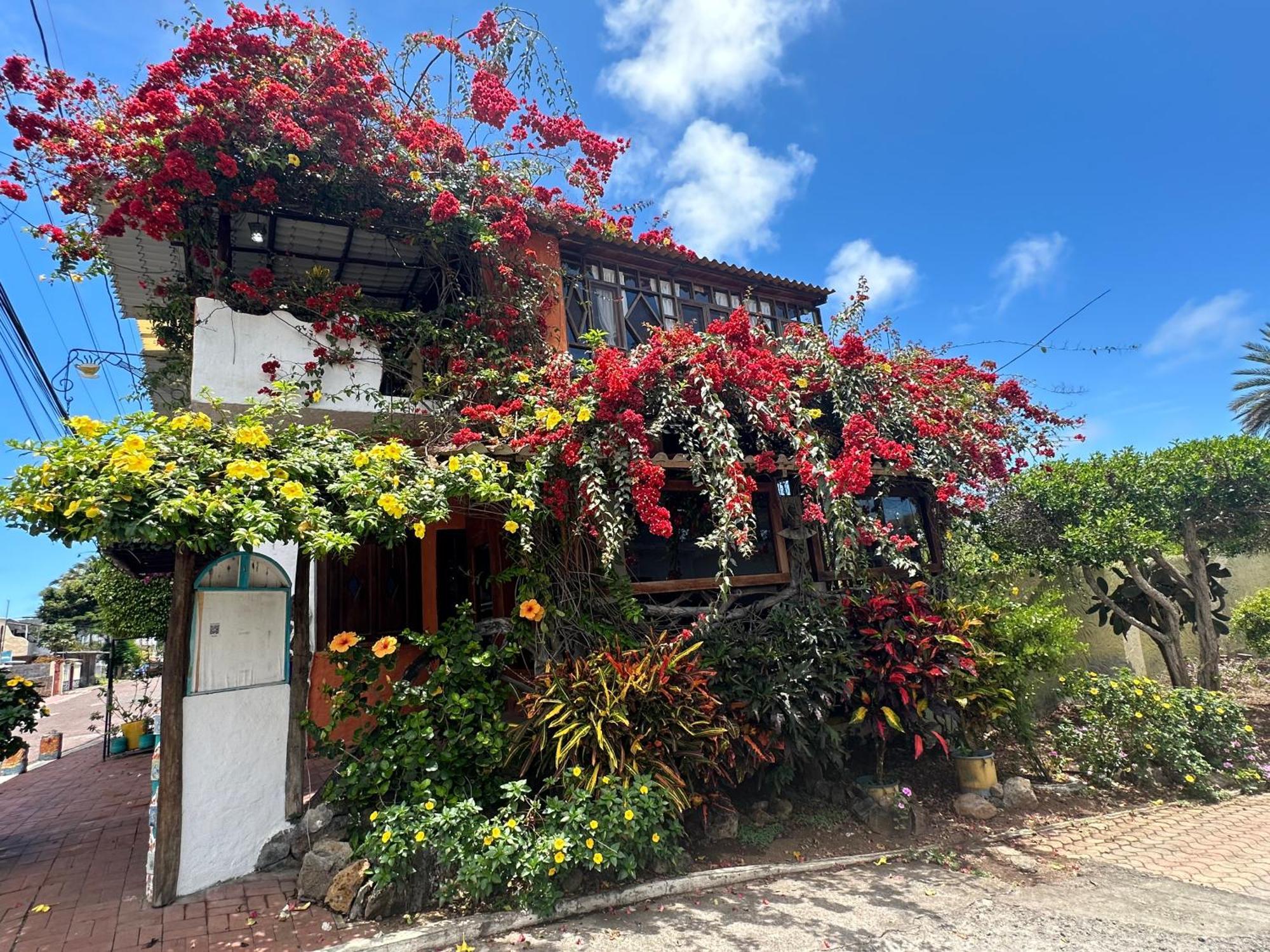 Casa del Lago Lodging House Puerto Ayora  Esterno foto