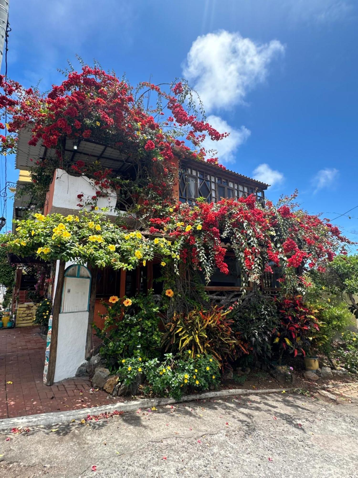 Casa del Lago Lodging House Puerto Ayora  Esterno foto